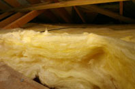 Esh pitch roof insulation