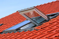 Esh roof window